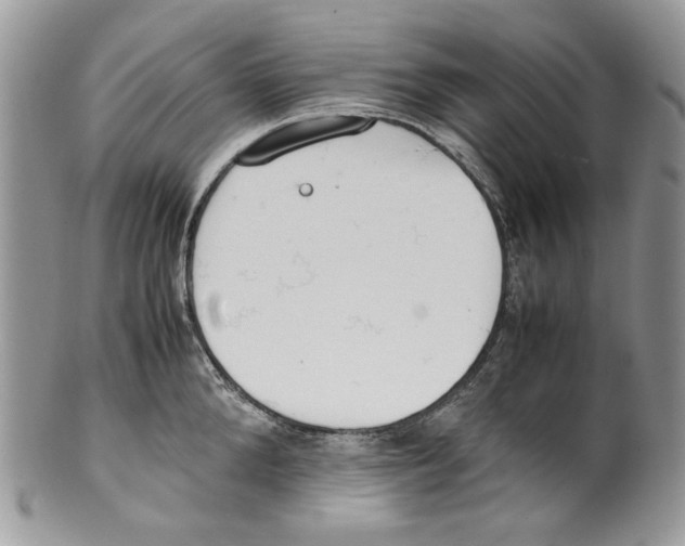 X0000099550904200806131209