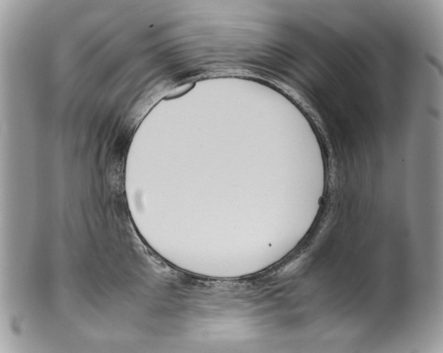 X0000099550905200806131209