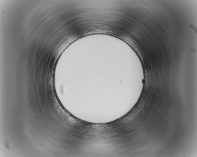 X0000099550906200806131209