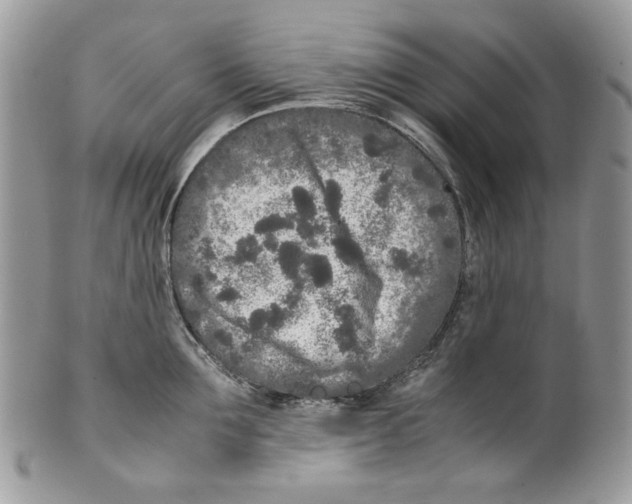 X0000099550907200806131209