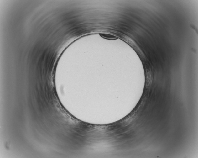 X0000099550908200806131209