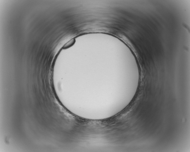 X0000099550909200806131209