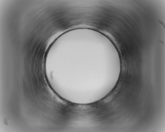 X0000099550910200806131209