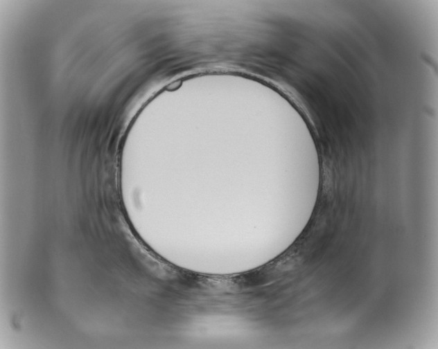 X0000099550911200806131209