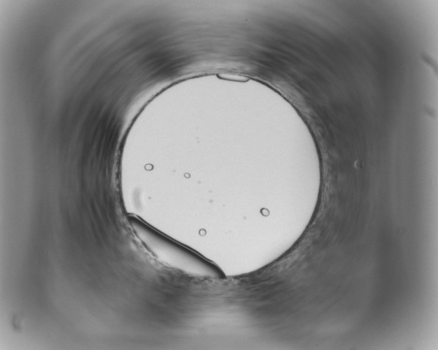 X0000099550912200806131209