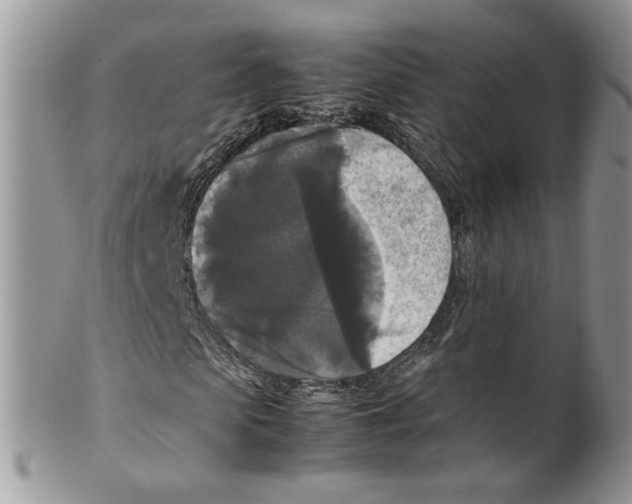 X0000099550913200806131208