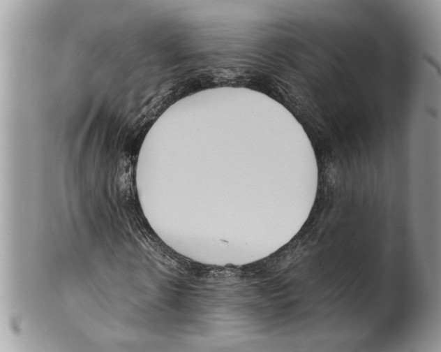 X0000099550914200806131208