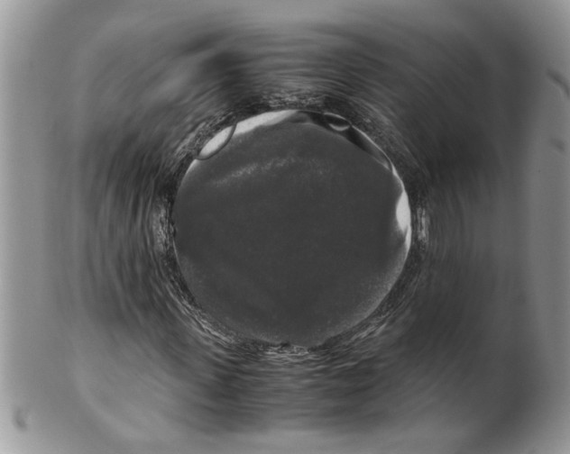 X0000099550915200806131208