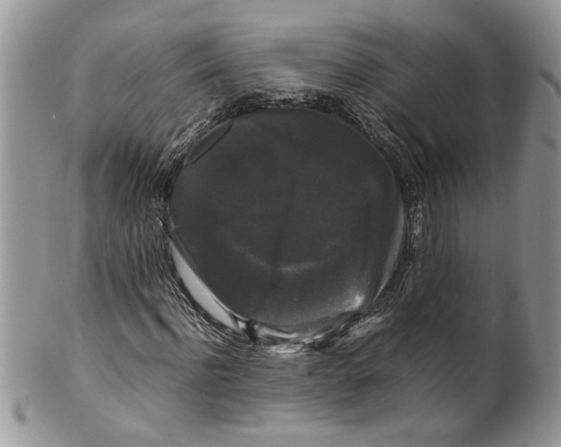 X0000099550916200806131209