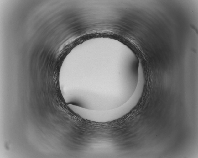 X0000099550920200806131209