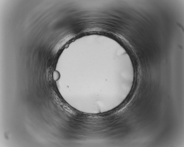 X0000099550921200806131209