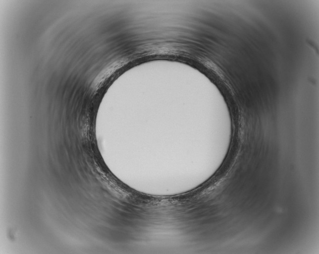 X0000099550922200806131209