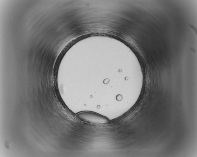 X0000099550924200806131209