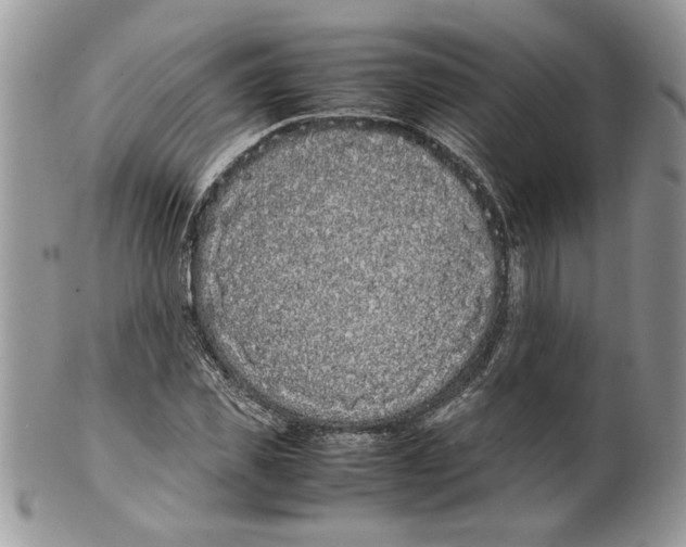 X0000099550925200806131209