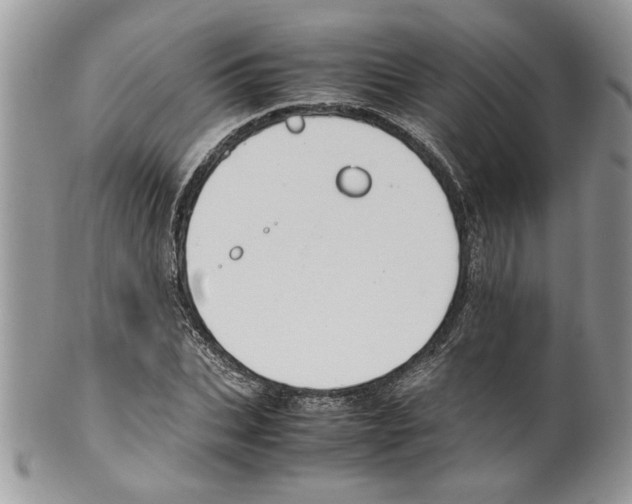 X0000099550927200806131209