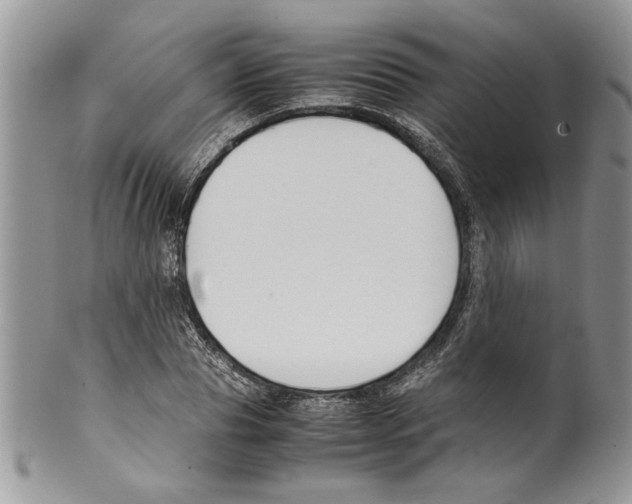 X0000099550929200806131209