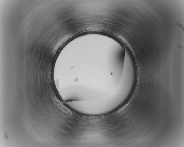 X0000099550930200806131209