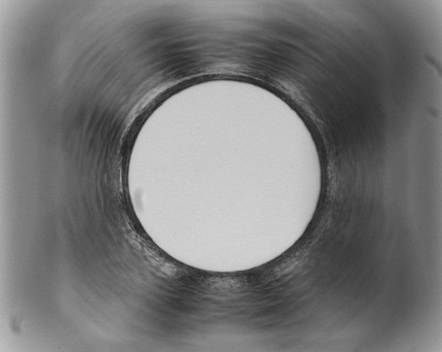 X0000099550931200806131209