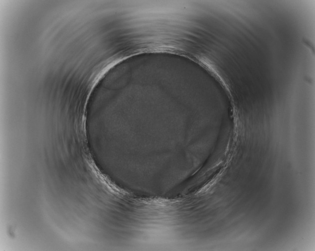 X0000099550932200806131209