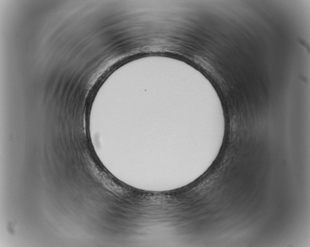 X0000099550934200806131209