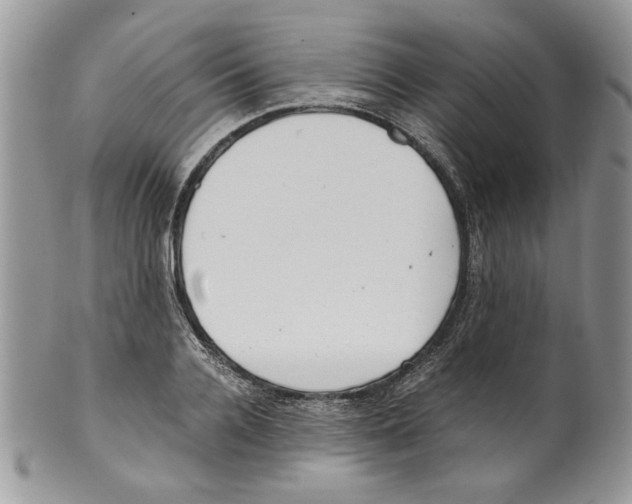 X0000099550936200806131209