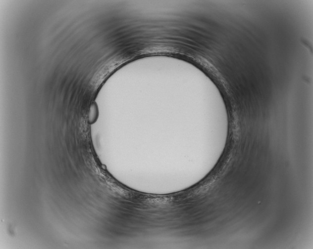 X0000099550937200806131209