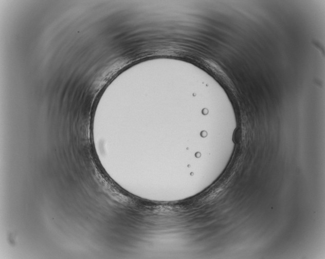 X0000099550938200806131209