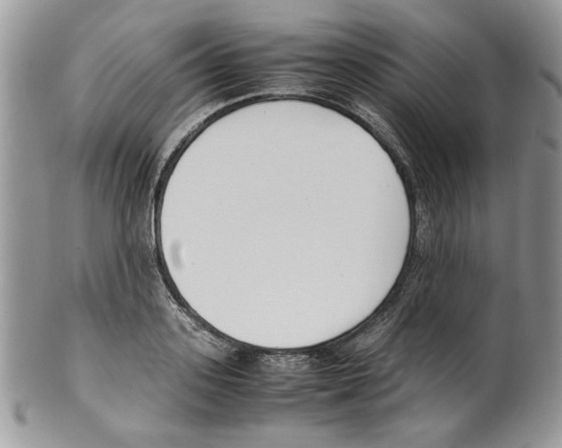 X0000099550939200806131209