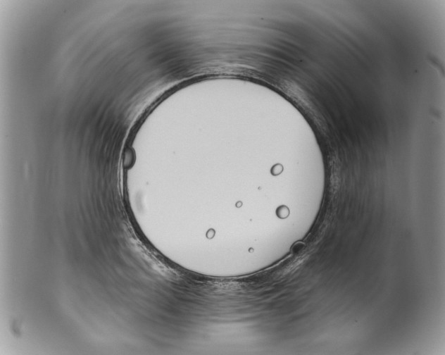 X0000099550940200806131209