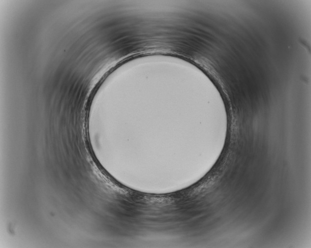 X0000099550941200806131209