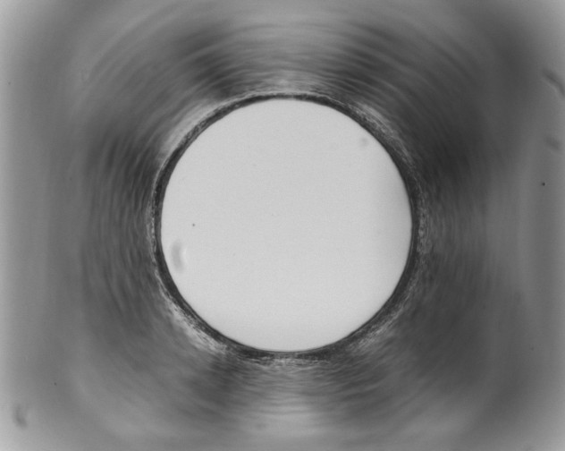 X0000099550942200806131209