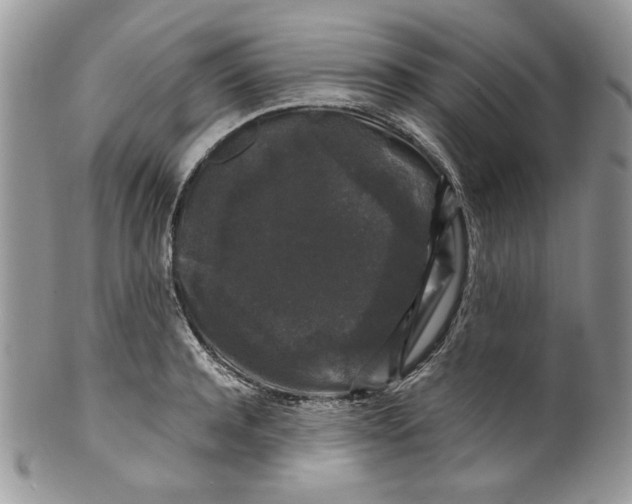 X0000099550944200806131209