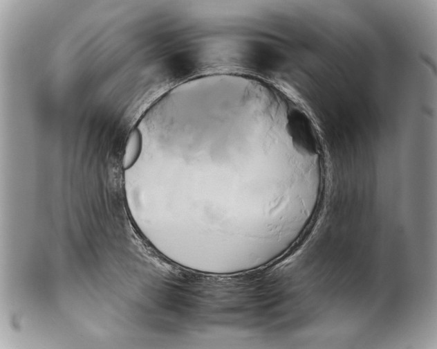 X0000099550945200806131209