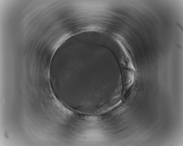 X0000099550946200806131209