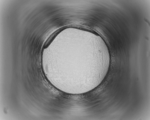 X0000099550948200806131209