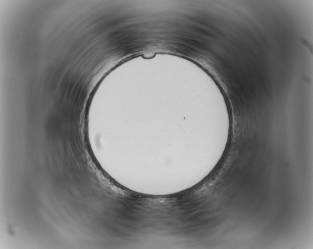 X0000099550949200806131209