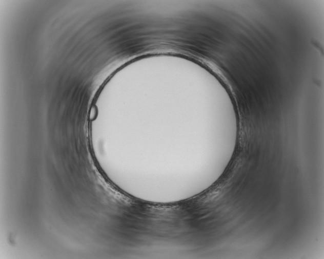 X0000099550951200806131209