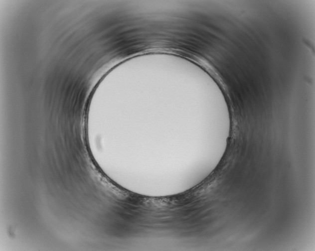 X0000099550955200806131209