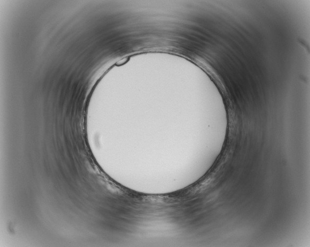 X0000099550956200806131209