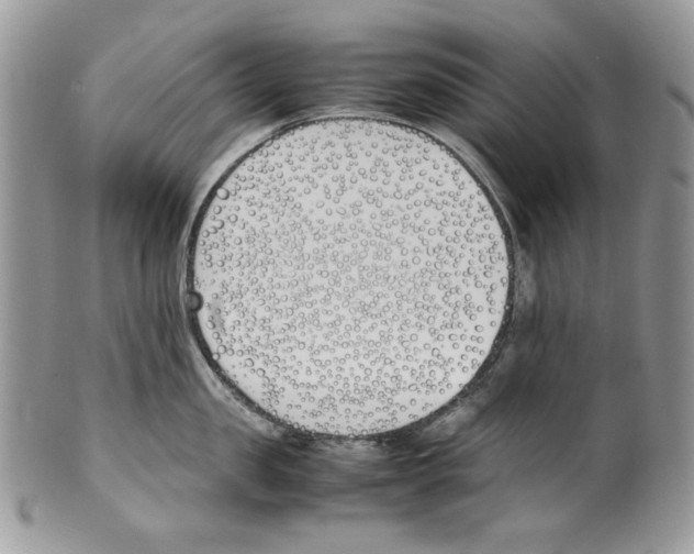 X0000099550957200806131209