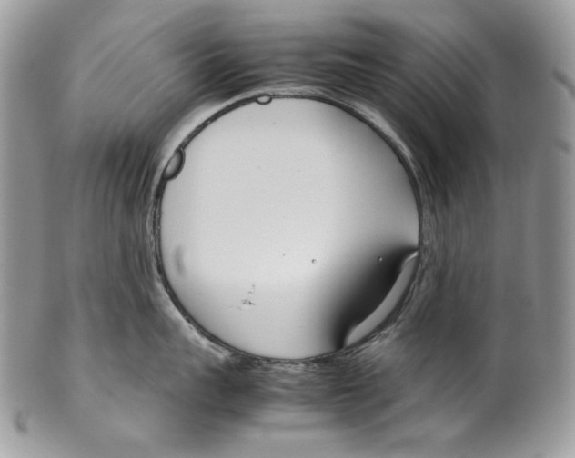 X0000099550959200806131209