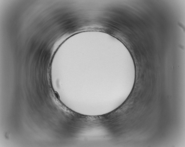 X0000099550960200806131209