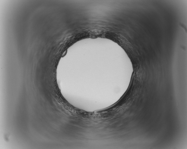 X0000099550961200806131208