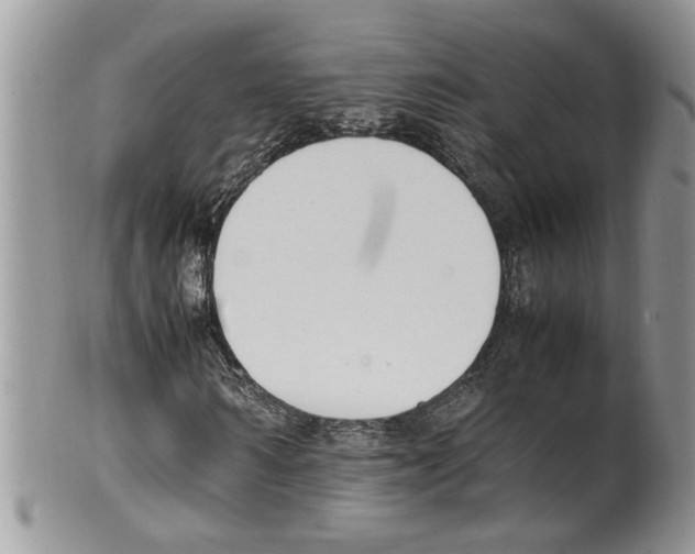 X0000099550962200806131208