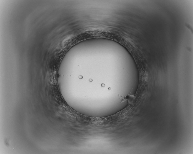 X0000099550965200806131208