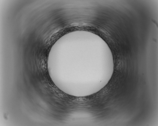 X0000099550966200806131208