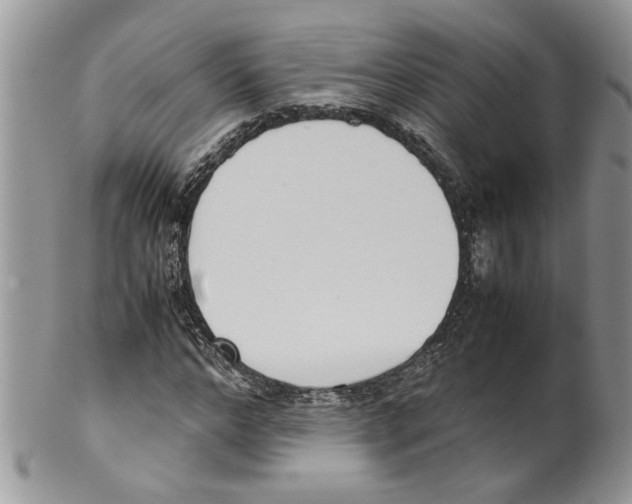 X0000099550968200806131208