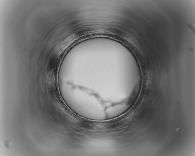 X0000099550969200806131208