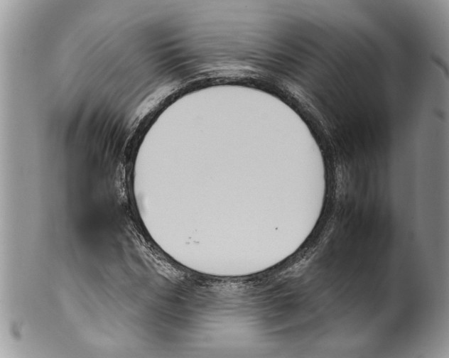 X0000099550970200806131208