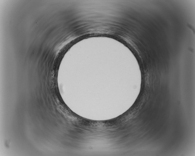 X0000099550971200806131208